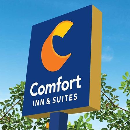 Comfort Inn & Suites Newark Liberty International Airport Eksteriør bilde